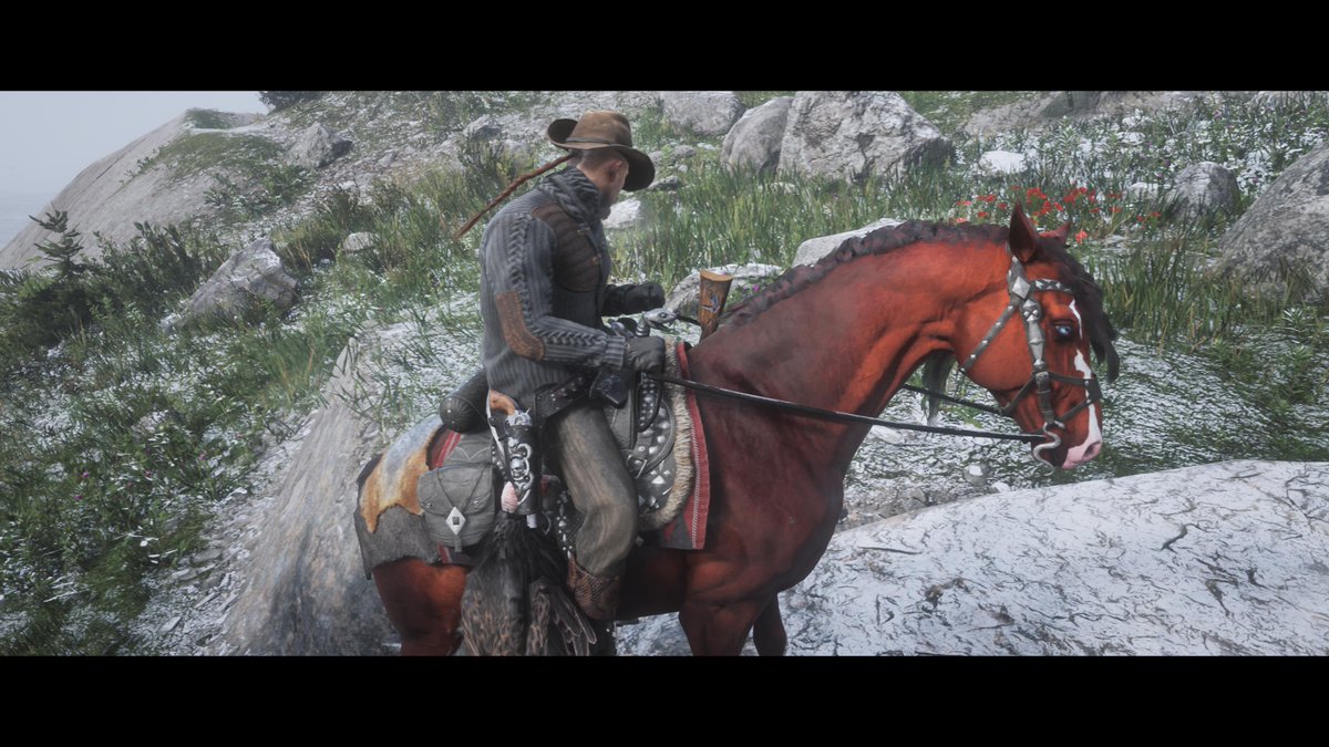 Uncle_Krynnge's tweet photo. Shiny new horse! She's so pretty :')
#theoh #PS4share https://t.co/mflXsdNlYi