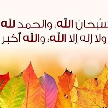 Ꮭife вecoмes sad wiтнouт тнe Ꮢeмeмьrance of ᏘllaᏂ سبحانہ وتعالیٰ...!!!
🔥✨🥀#Mr_HaSsi