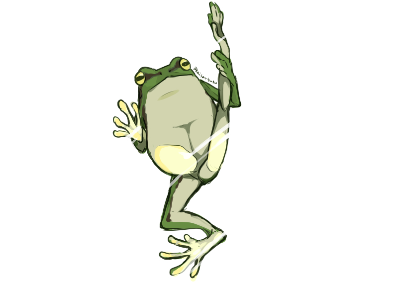 え カエルがいない しょうがないなぁ 塗り絵は絵自体は前のだけど あ でも 海産物 スキルゲッター 連載中の漫画