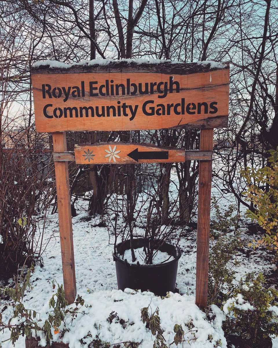 Edinburgh’s Older Peoples Mental Health Service tweet media