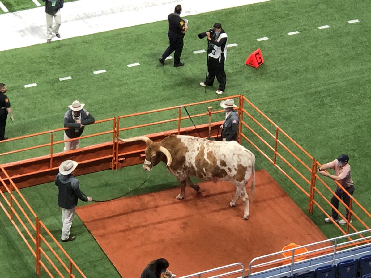 Sabina Cavazos π¨ (@lfhsart) on Twitter photo Way to go Texas 34-10 Way to go Texas 34-10