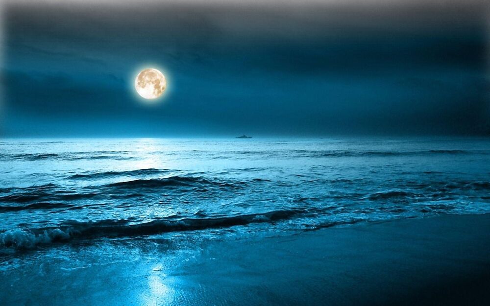 moonlight4444's tweet photo. https://t.co/eRkZeSfgxL