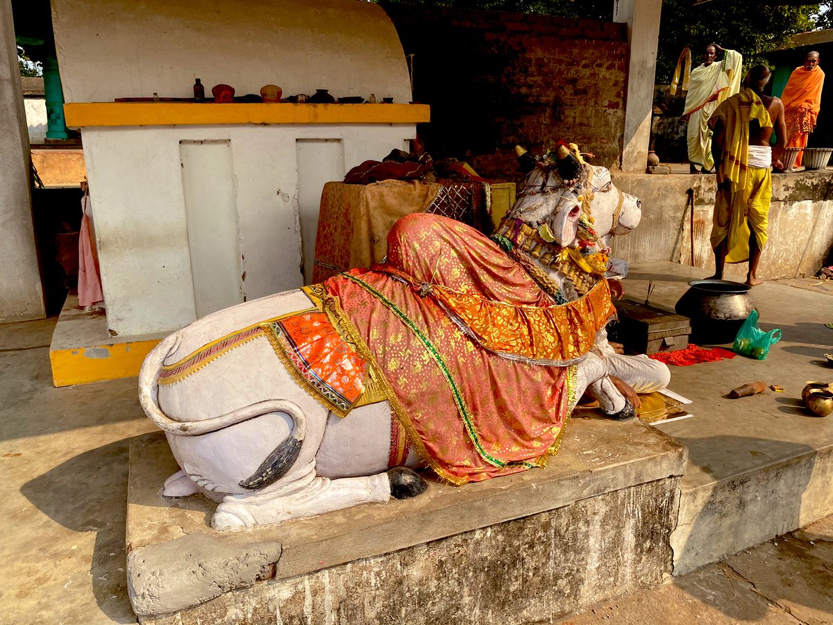 We are at Champanath Temple now. It’s around 1000 years old temple dedicated to lord Siva where you can see big turtles in a pond; fortunately no-one hurts them.  #Odisha