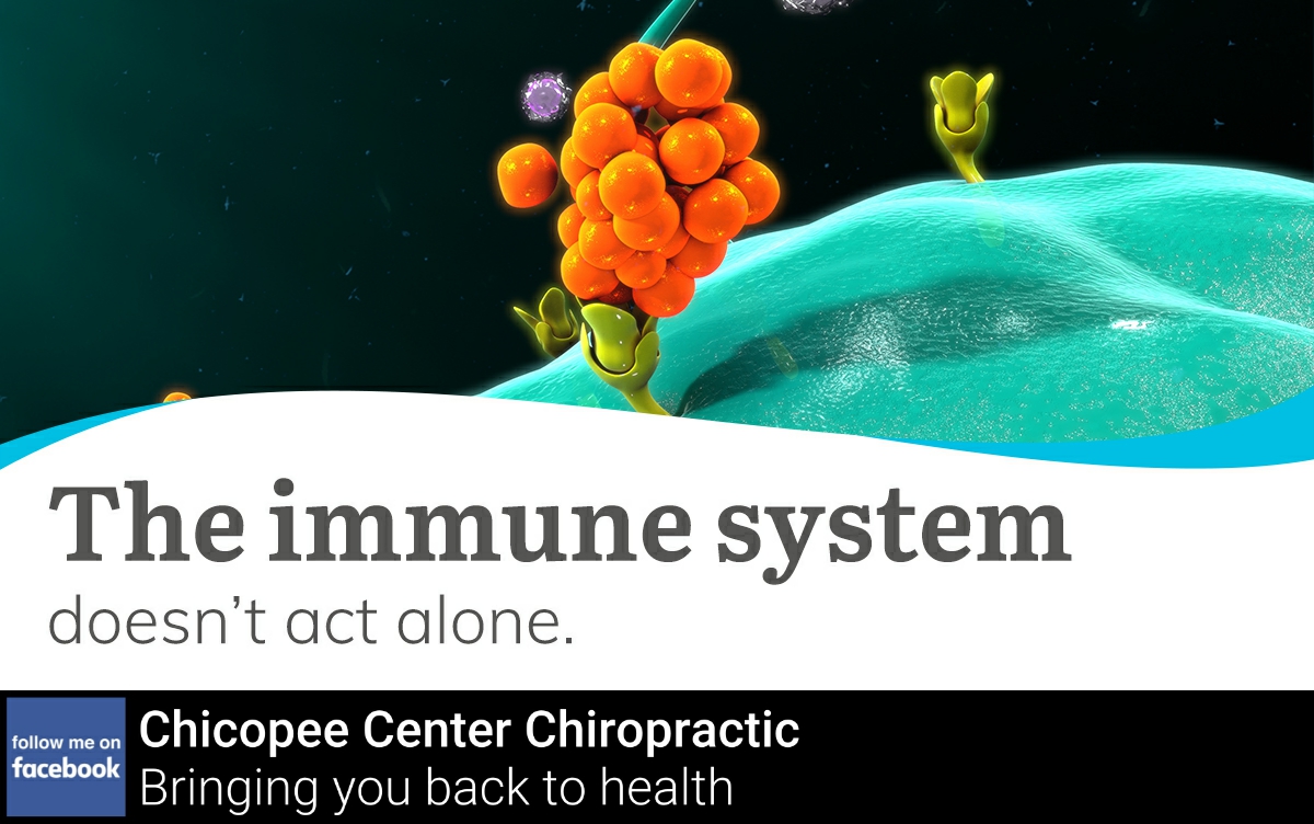 behealthier's tweet photo. The immune response will recruit other systems, like the nervous system, in order to elicit an adequate response. https://t.co/SioaNm3eF4