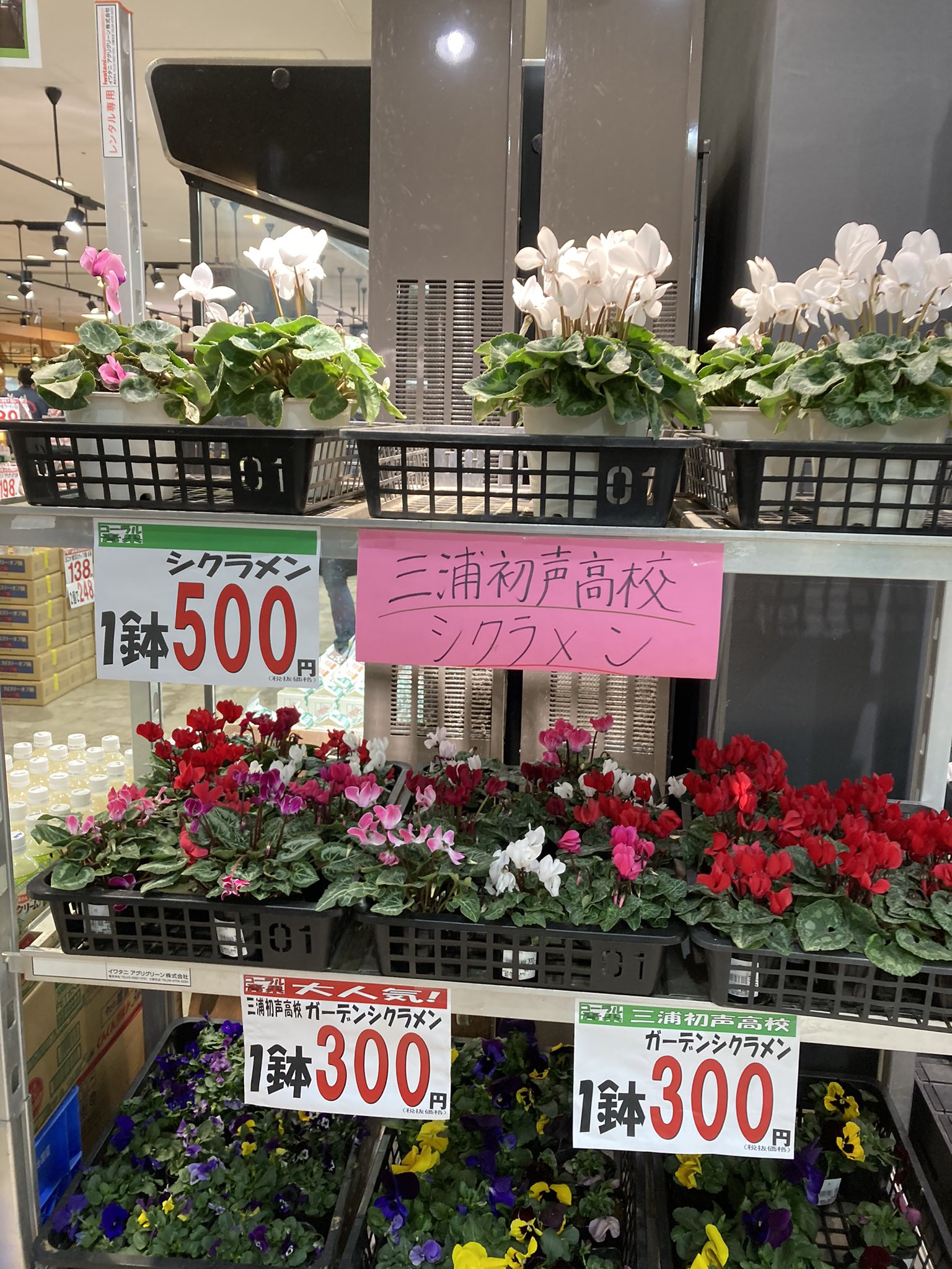 都市農業科 Twitter Search Twitter