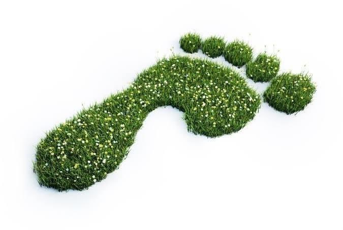 We had enough #carbonfootprint now we need more of green footprints for ourselves & for better #future. 

MY #NewYearResolution is make this #earth CLEAN & GREEN. Educate ➡️ Support Eachother

#environment  #climatechange #sustainability #CampaignForNature #NewYearsEve #trees