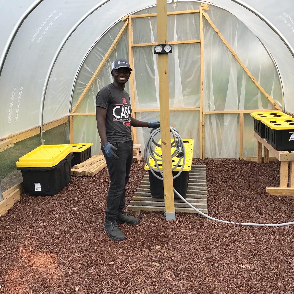 MarkIradukunda2's tweet photo. I couldn’t find an internship this summer because of the pandemic. However, I was luck enough to have a trusting friend who allowed me to explore my passion in his backyard and with his resources. 
Much thanks to Bogens and Browns family
#greenhouse #hydroponics https://t.co/osnkkiih2r