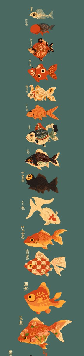 「前に描いた金魚妖怪たちを大きさ順に並べた図。
一枚の絵ではバランスを考えて大きさ」|花日和 畳のイラスト