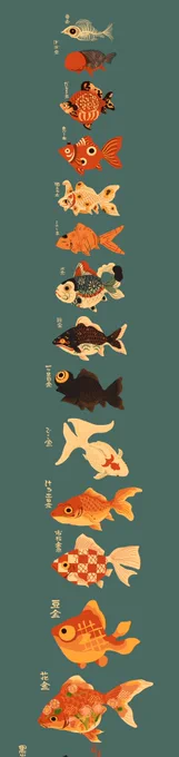 前に描いた金魚妖怪たちを大きさ順に並べた図。
一枚の絵ではバランスを考えて大きさを変えていましたが、実際にはこのくらいサイズに違いがあります? 