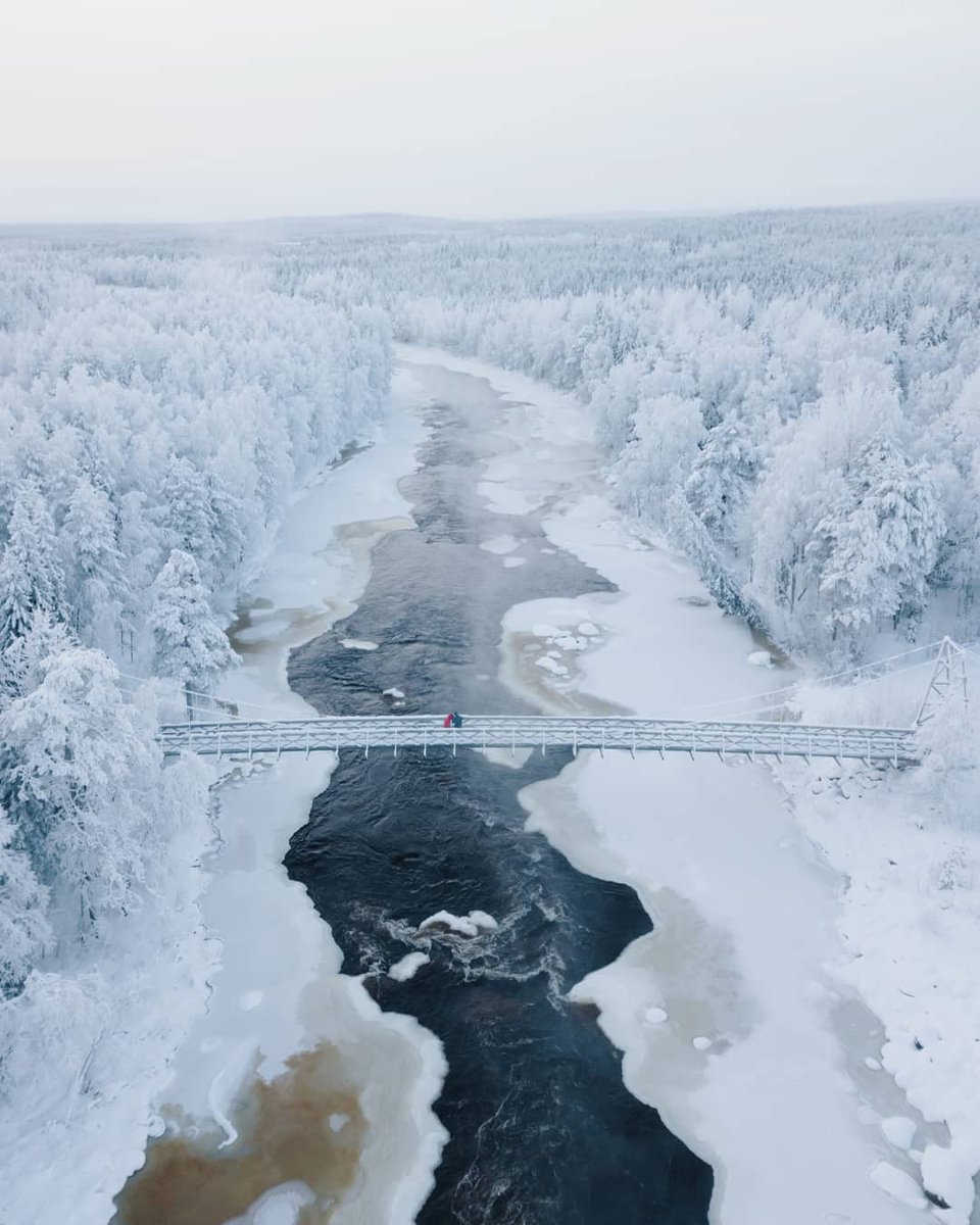 tonitoyras's tweet photo. Winter sceneries above. ❄️

#lapland #finland #travel #photography 

https://t.co/1cBfgocp4K https://t.co/YUKwzzgEi6