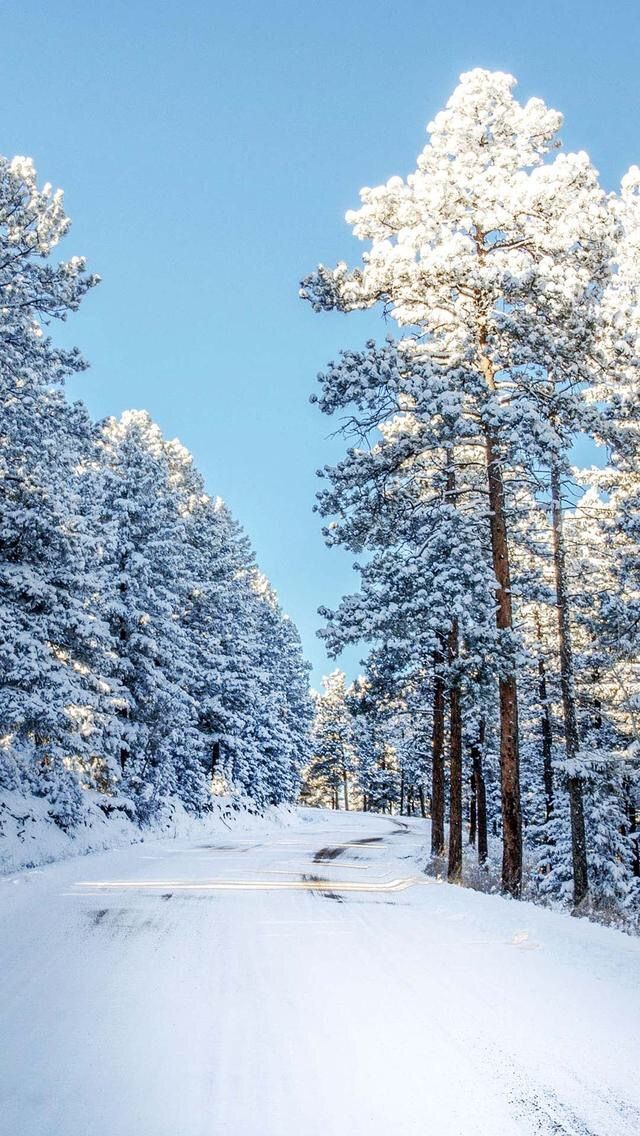 CommonKindness's tweet image. We love the cold, crisp, winter air! We're looking forward to ringing in the New Year and sleighing 2021! 😉 #commonkindness #bekind #dokind