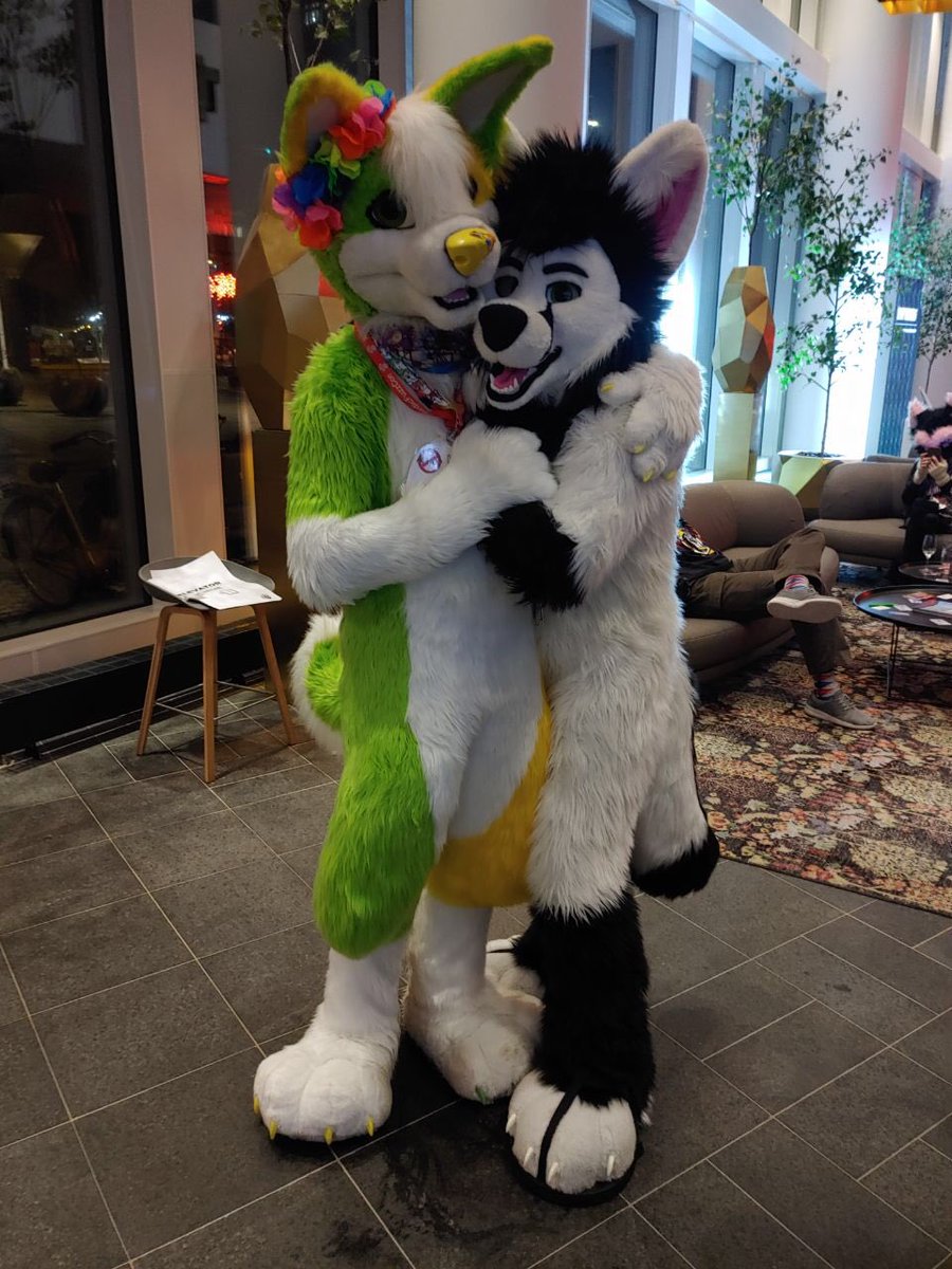 No <a href="/NordicFuzzCon/">NordicFuzzCon</a> 2021 :( so many guys where I can don’t meet and I can hug and snug <a href="/AorooHusky/">Aoroo</a> again *sad fox lion nosis* I can await nfc 2022 hopefully
