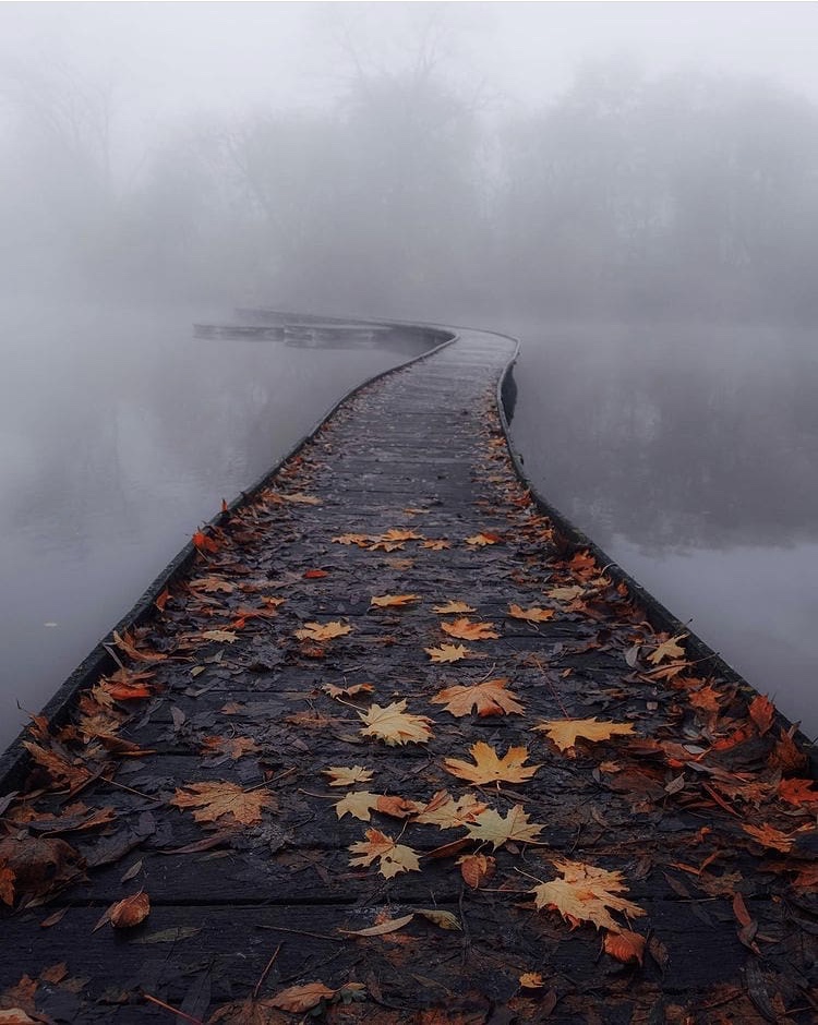 BournLeaders's tweet photo. At times the road may be foggy and lonely...but

Experience your path by being PRESENT. 

SEE the sights, LISTEN to what's around you, SMELL the crisp fresh air, TOUCH the lives of those who come in contact with you and finally TASTE life as if you are truly alive. https://t.co/2kFpUenoUz