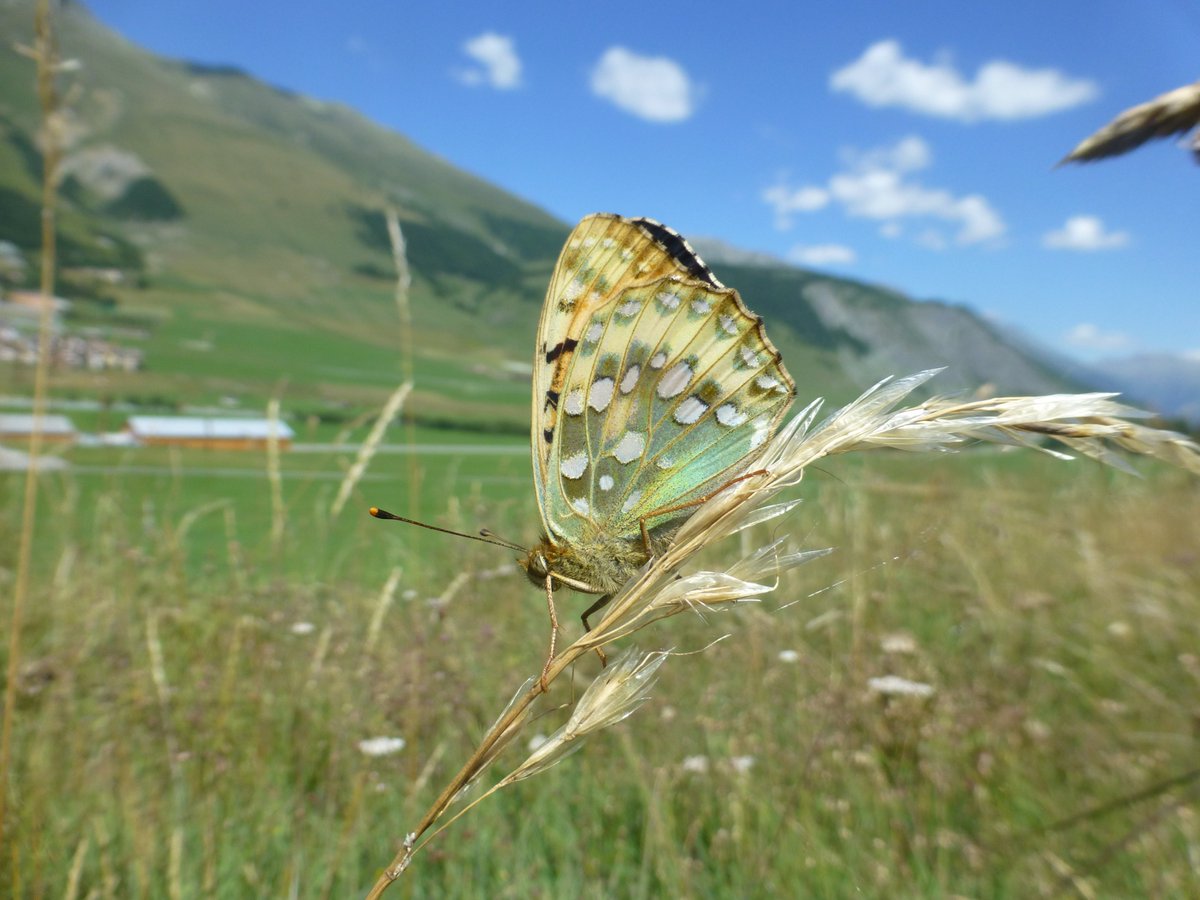 En toch was je mooi, 2020. 

Ik wens je een gezond en gelukkig 2021!