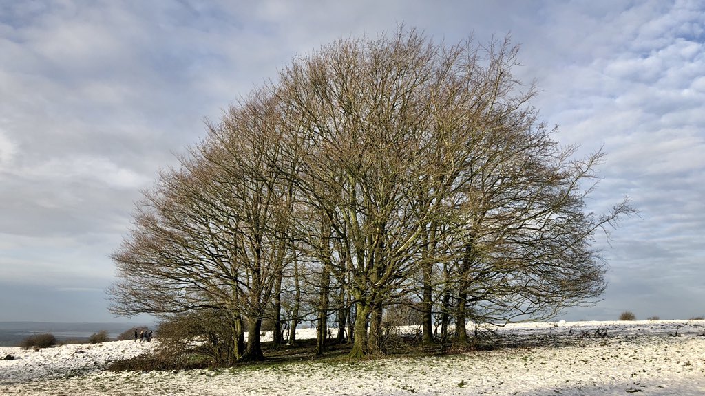 Stopped for coffee in here &ndash; bei  Haresfield Beacon
