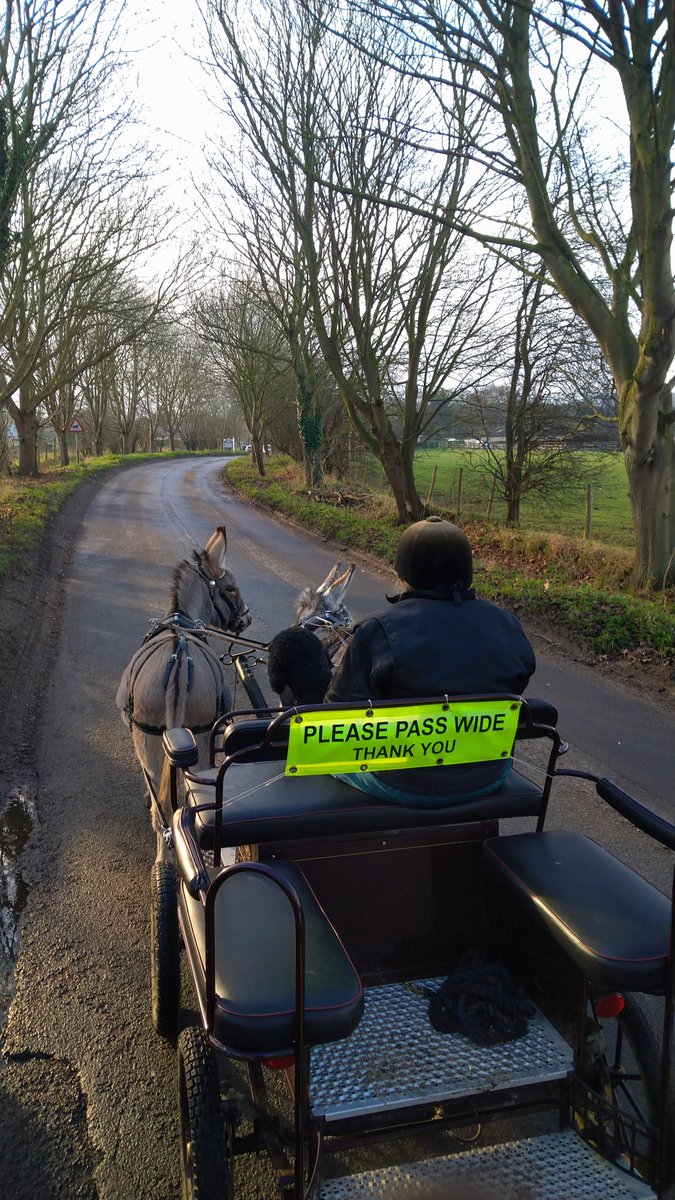 donkathon's tweet photo. Christmas hooves up in a warm stable changed yesterday. Back at the training for Wizard and Muffin. 

Chilly but lovely in the Oxfordshire lanes. 

We'd like to join #TreeClub please. https://t.co/GYCZlrrWv8