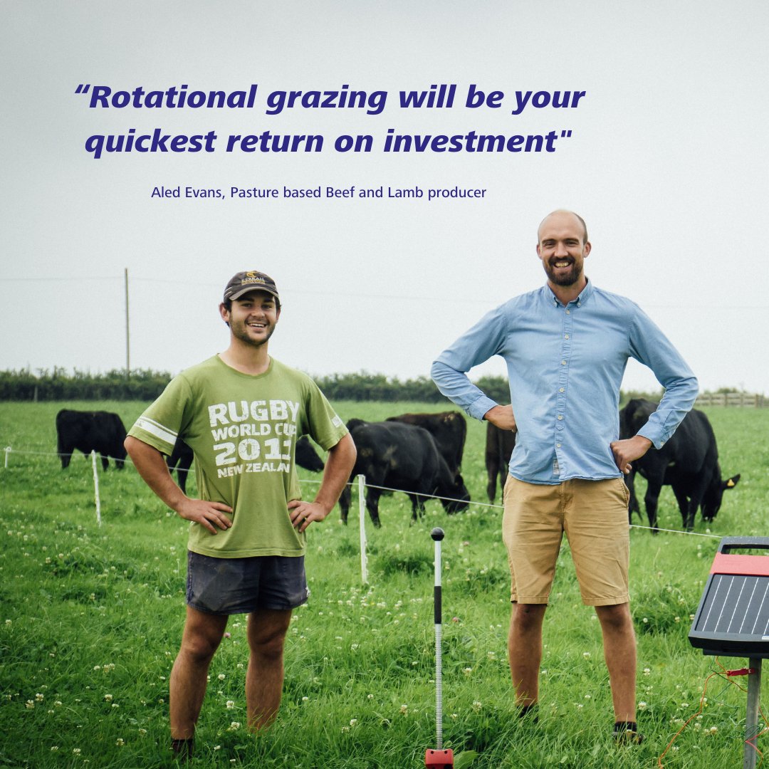 DatamarsEurope's tweet photo. As production costs continue to rise, there is no doubt that well-managed grazed grass has an increasingly important role in on-farm profitability for producers.
⚡Great grazing starts with the right electric fencing. DM us to find your closest Speedrite merchant! #Speedrite https://t.co/PSd4OhWXrr