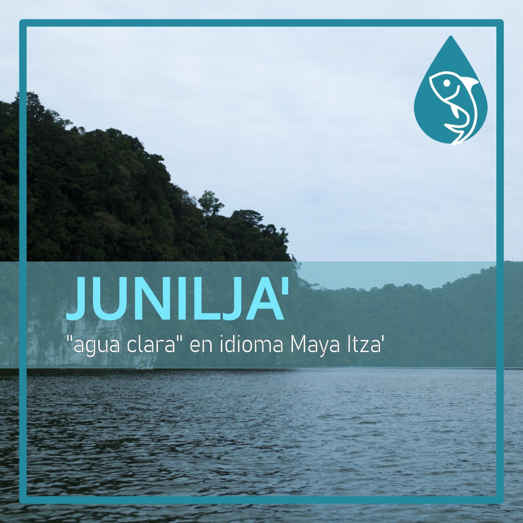 Junilja' ONG tweet media