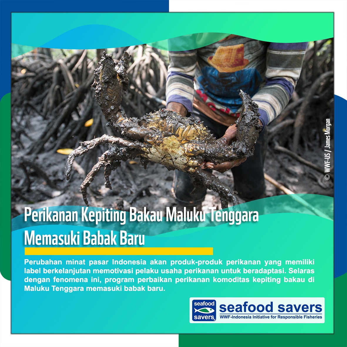 Perkembangan ruang produksi kepiting bakau Kepulauan Kei, Maluku Tenggara yang berkelanjutan memasuki babak baru.

Simak laporannya di: seafoodsavers.org/news/implement…

English version: seafoodsavers.org/news/implement…