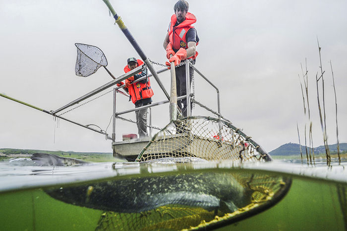 Alternet (@alternet_europe) on Twitter photo 5) Multi-Site Research
On the MSR front, the <a href="/FishTelGroup/">Lake Fish Telemetry Group</a> project led by <a href="/IvanJaric/">Ivan Jaric | from now on at @ivanjaric.bsky.social</a> of the Biology Centre of the Czech Academy of Sciences was selected for another year of funding support due to its excellent premise, engagement, and impact. 5) Multi-Site Research
On the MSR front, the <a href="/FishTelGroup/">Lake Fish Telemetry Group</a> project led by <a href="/IvanJaric/">Ivan Jaric | from now on at @ivanjaric.bsky.social</a> of the Biology Centre of the Czech Academy of Sciences was selected for another year of funding support due to its excellent premise, engagement, and impact.