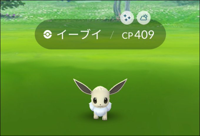 Popular Tweets Of バーチャルkm ポケモン剣盾の色違いレイド配布 8 تحليلات تويتر الرسومية الخاصة بهوتويت Whotwi