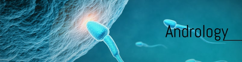 #Penile Morphometrics and #Erectile Function in Healthy Portuguese Men, To read the complete article please click on the link given: bit.ly/3pF5JM1