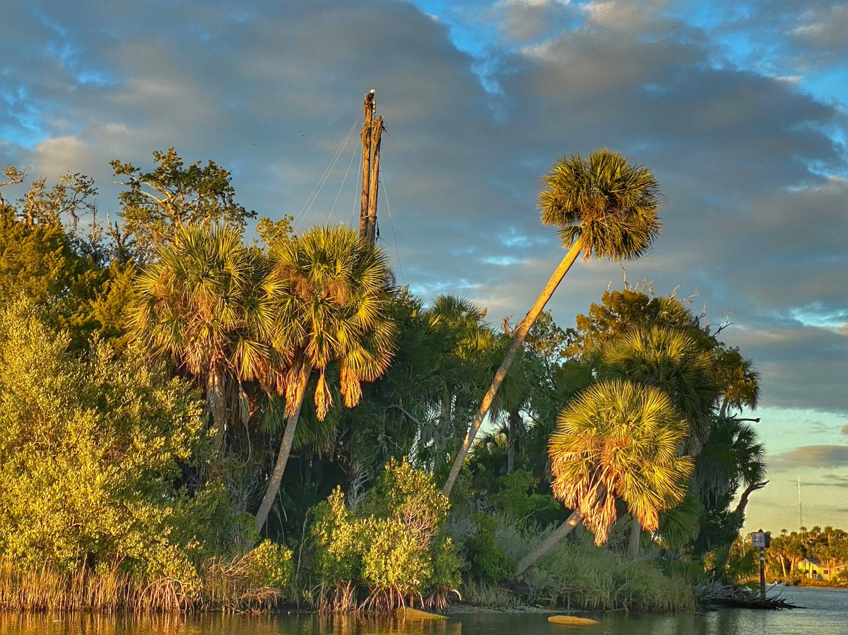 C.A. Richardson tweet media