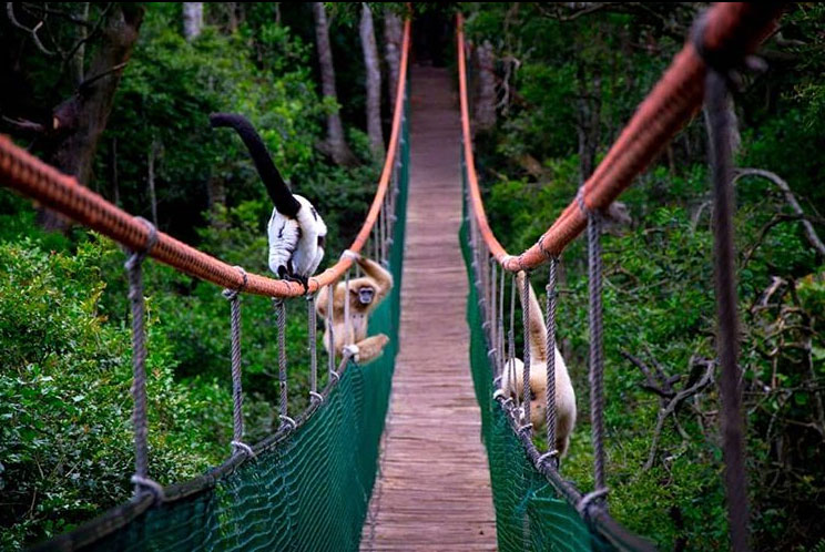 Plett Tourism tweet media