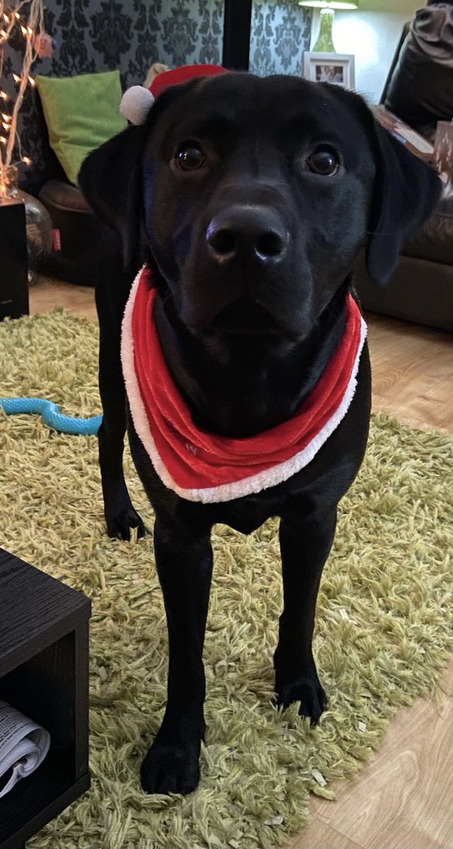 John Taylor tweet media