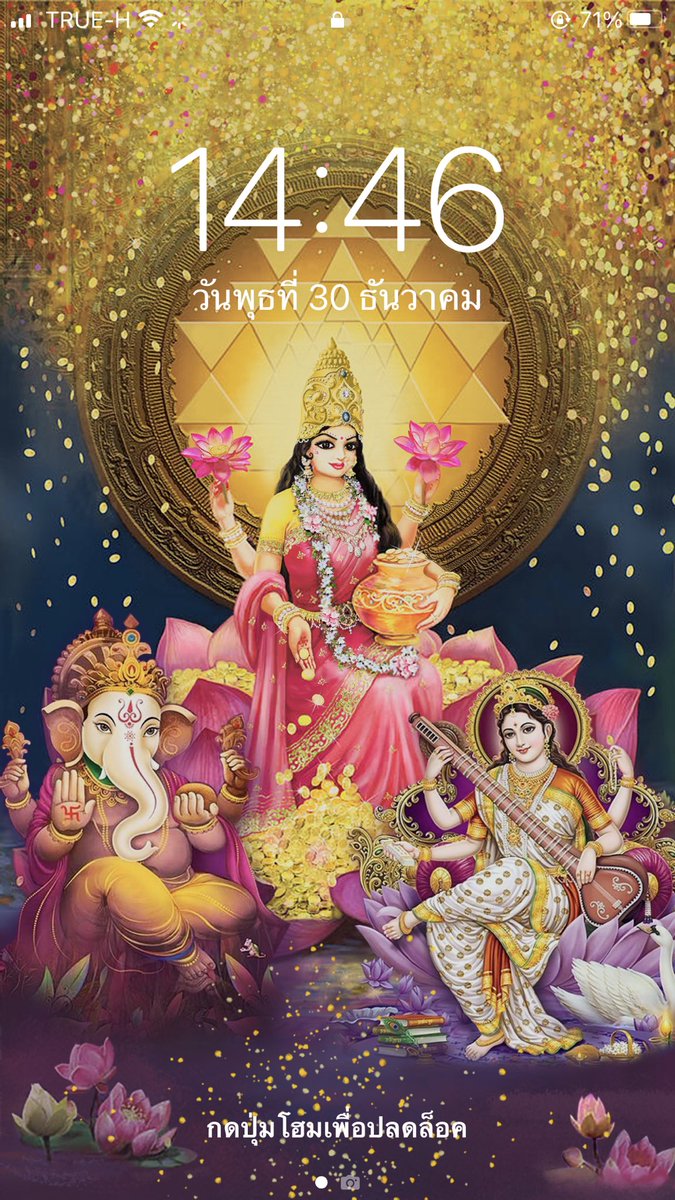 Tabby Cat tweet media