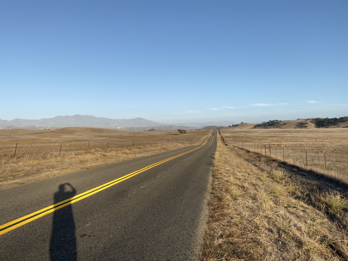 David Crosby tweet media