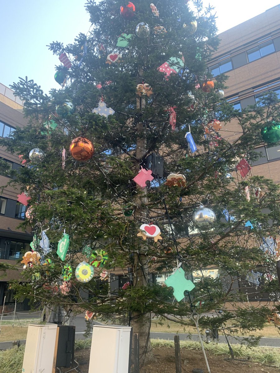 帝京大学キャンパスライフチューター プランニング班 On Twitter みなさんはお気に入りのオーナメント見つけられましたか 実はたこ が書いてあるパズルのピースだけがたまに風が吹いていないのにクルクル回っている時があるそうなんです 不思議な