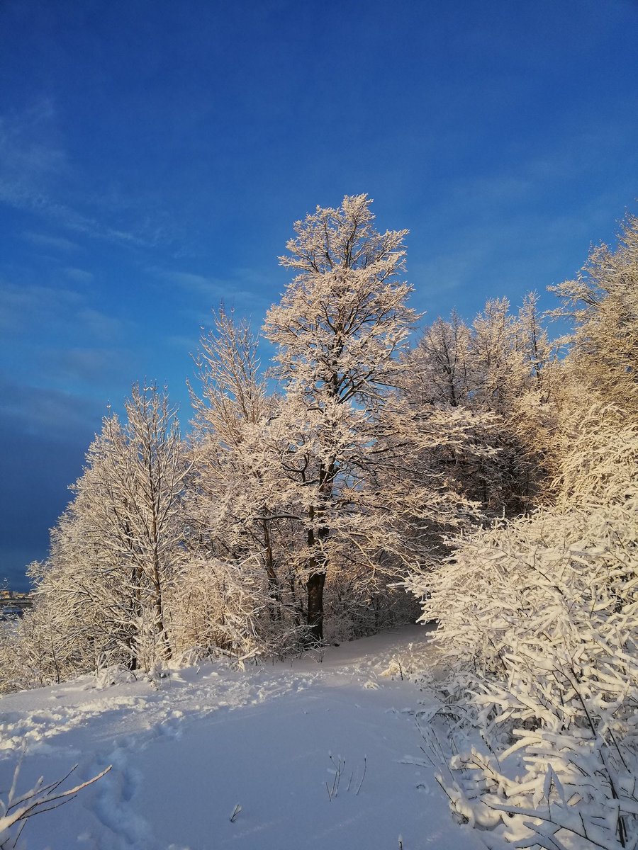 JanuaryThe very first day of 2020 was also the most beautiful day of the entire 2020 ;)