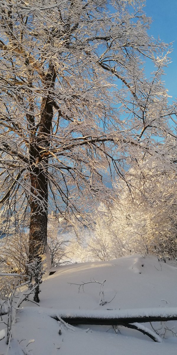 JanuaryThe very first day of 2020 was also the most beautiful day of the entire 2020 ;)