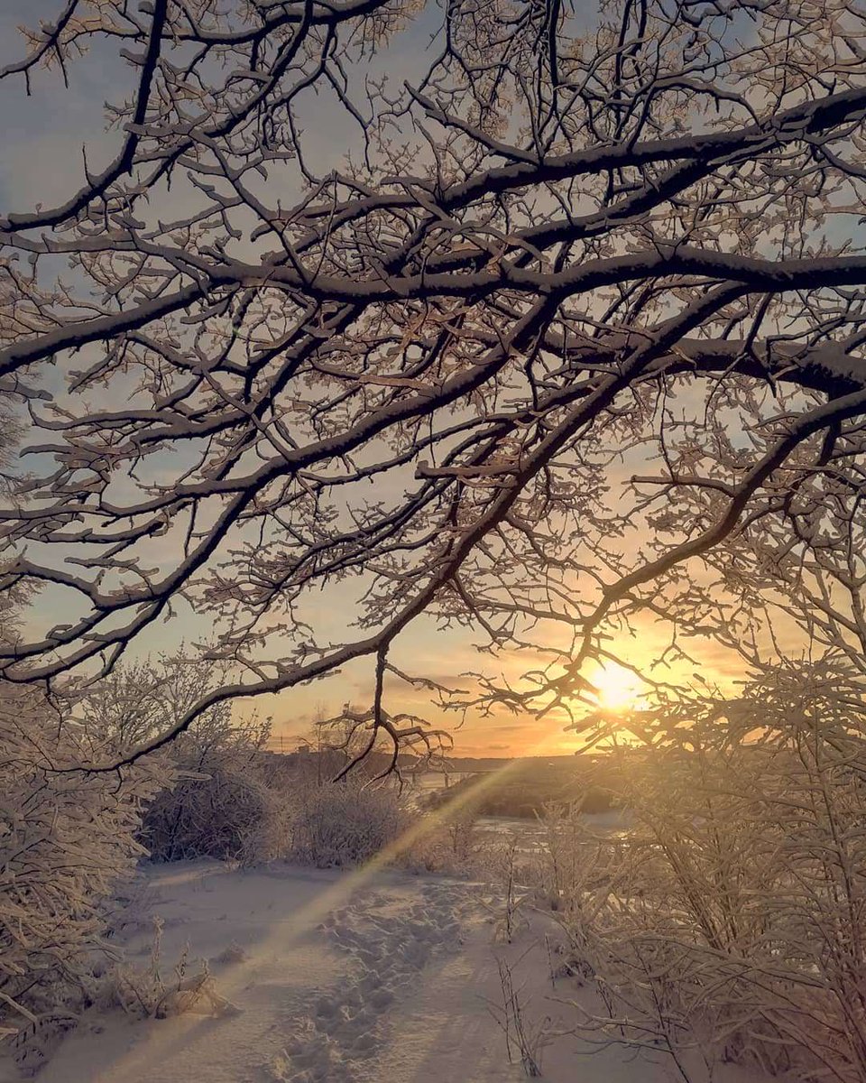 JanuaryThe very first day of 2020 was also the most beautiful day of the entire 2020 ;)