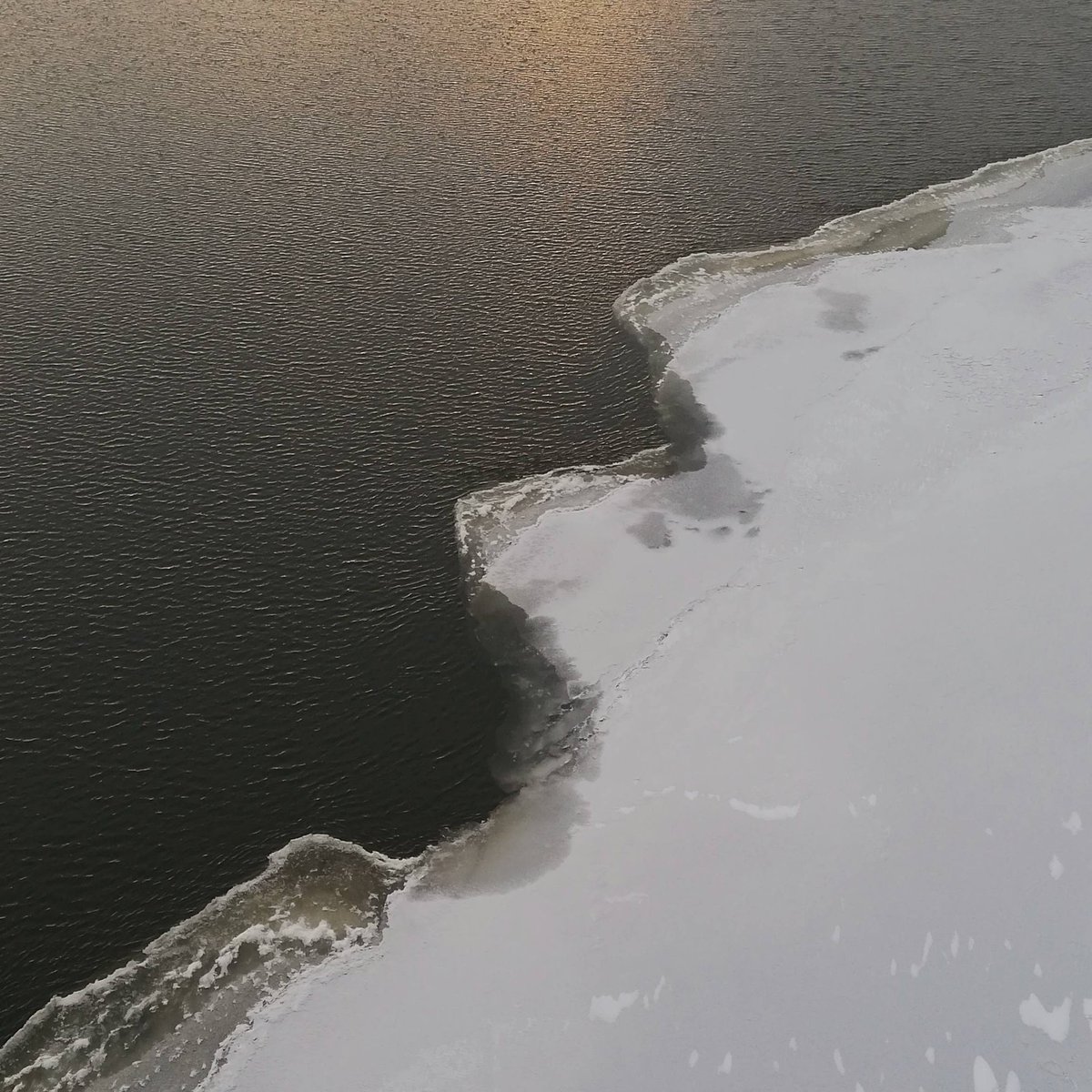 FebruaryWas unusually sunny for February. Last concert, last trip to a different city, last classes before the world ended