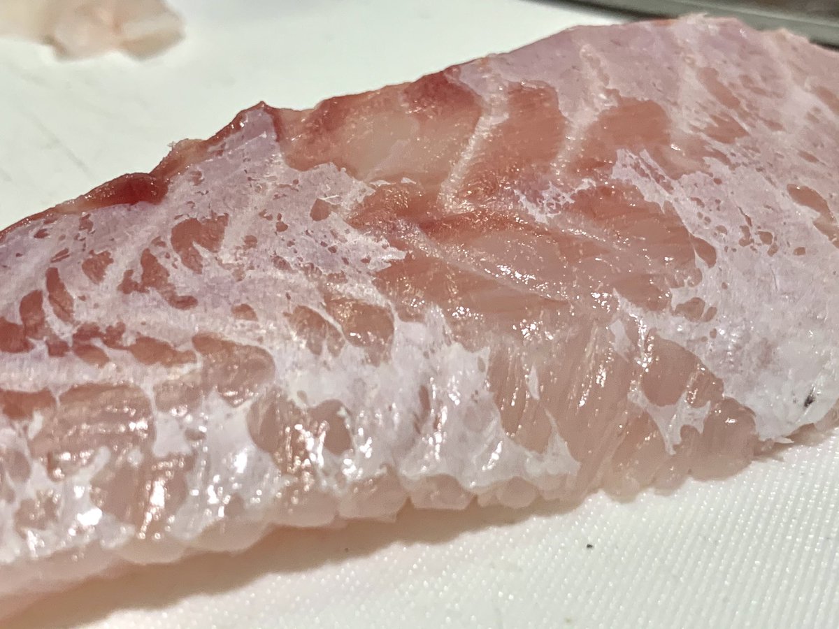 マハタ マハタ