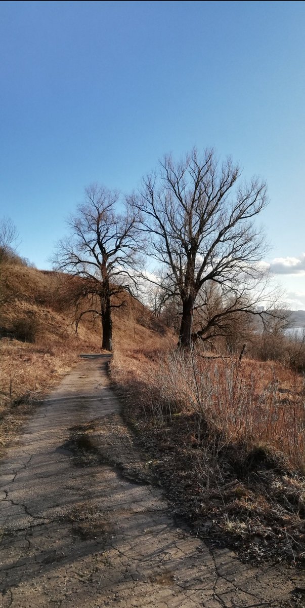 MarchI was so glad I didn't have to sit inside 24/7 like the majority of people. I still avoided people at any cost and just was enjoying nature alone