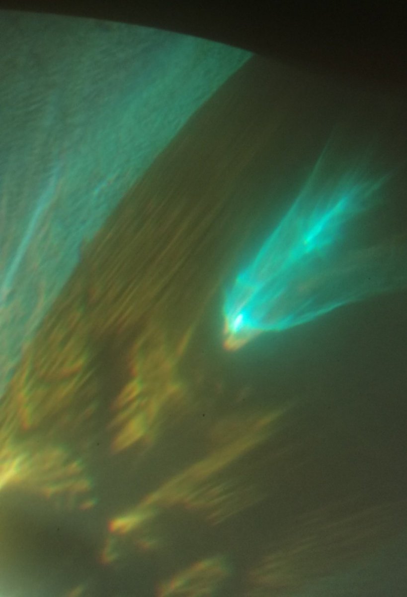 AprilThese are the only pictures, because now I had to sit at home 24/7. Weather improved a lot and all the parks and nearby forests were crowded with people, so I didn't bother to leave the house