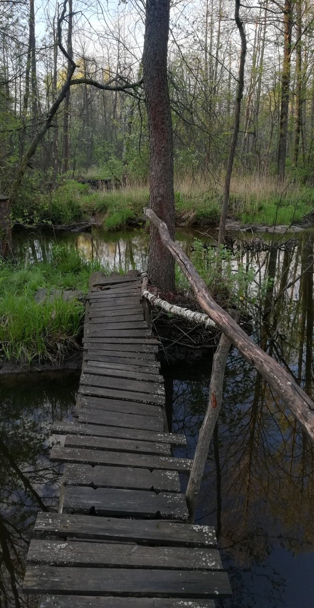 MayFinally was able to leave the house again! And good weather allowed to go a lot farther from the city. These pictures are about 60km from my home. Peaceful 