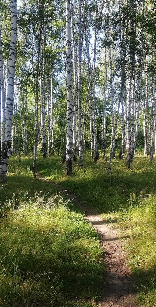 JulyTemperature stayed at +35°c and I was dying and going insane from that and from bugs, bugs were everywhere... But still spent quite a lot of time outside trying to enjoy nature :)