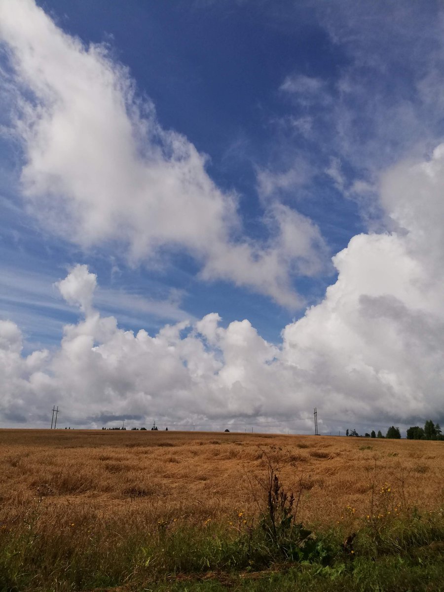 AugustSunsets and clouds. August is sunsets and clouds. Getting dark early, nice time to look at the stars while not completely freezing