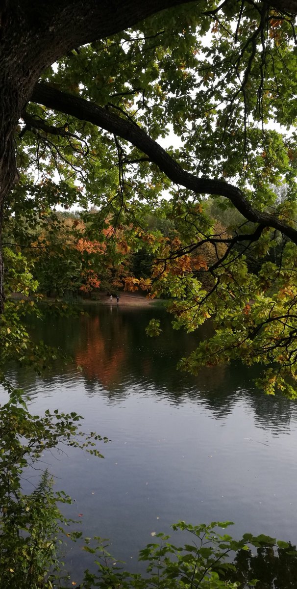 SeptemberColorful. Finally reasonable weather, less bugs, more cold wind. Comfy t-shirt weather. Love seeing trees turn all kinds of colors