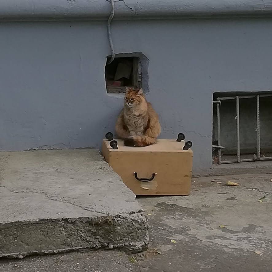 SeptemberColorful. Finally reasonable weather, less bugs, more cold wind. Comfy t-shirt weather. Love seeing trees turn all kinds of colors