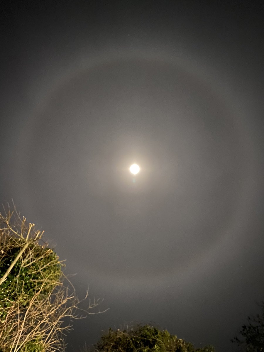 Jason Hogan tweet media