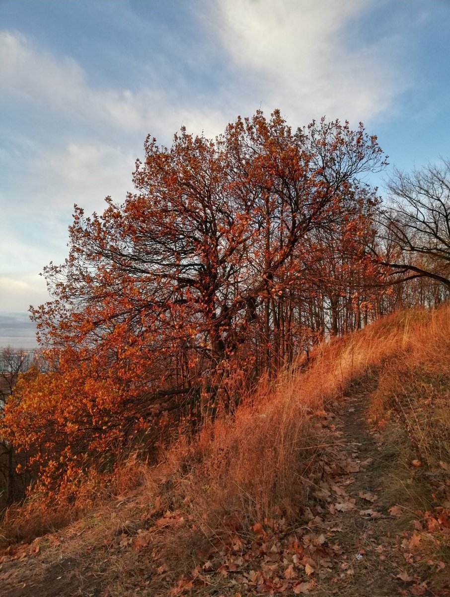 OctoberIf you ever want to visit my city - first two weeks of October is the best time. Absolutely in love with the weather and colors