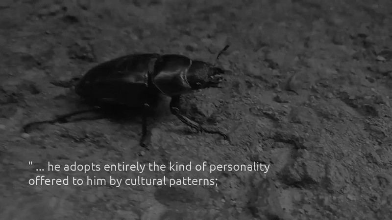 4D_FilmFest's tweet photo. We are proud to receive our new submission: The Automaton, directed by mcm-639
#hurryup. 
  #tellyourstory 
  #submityourfilm 
#doitfast 
#film 
#independantfilm  
@FilmFreeway https://t.co/gsjVGhL4eQ