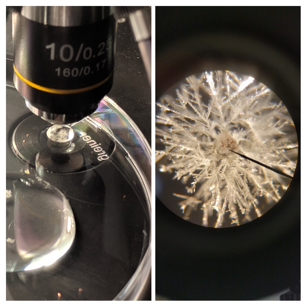 WRBdB's tweet image. Connect with other science teachers and technicians by following* those who retweet, like, reply to this tweet and/or use the hashtags 
#FFBScience
#FFBChemistry
#FFBPhysics
#FFBBiology

*To warrant following your bio must show you&apos;re in science education.

#FFBWednesday