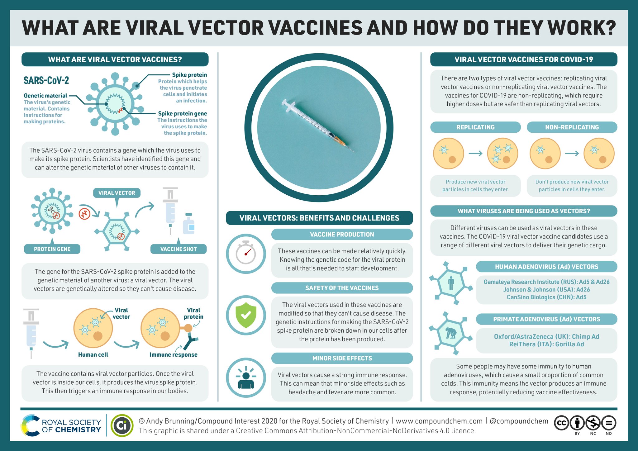 What Are Viral Vector Vaccines - vafici
