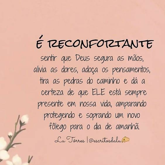 andressalopes09's tweet photo. Bom dia!!! : )
#agradecersempre https://t.co/HROrgIhQKg